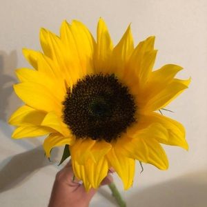 Meet your Posher, Charmaine